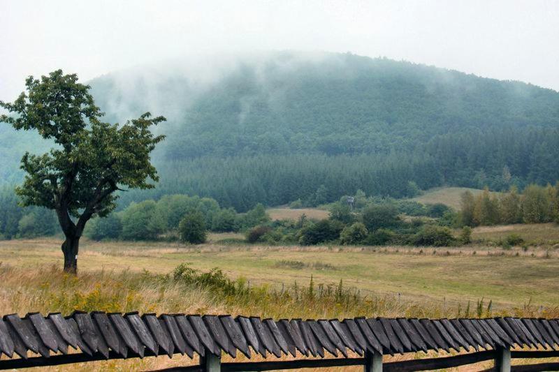 Dworek Mysliwski Laskowka  Exterior foto